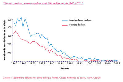 Tetanos : nombre de cas annuels et mortalité en France de 1960 à 2015